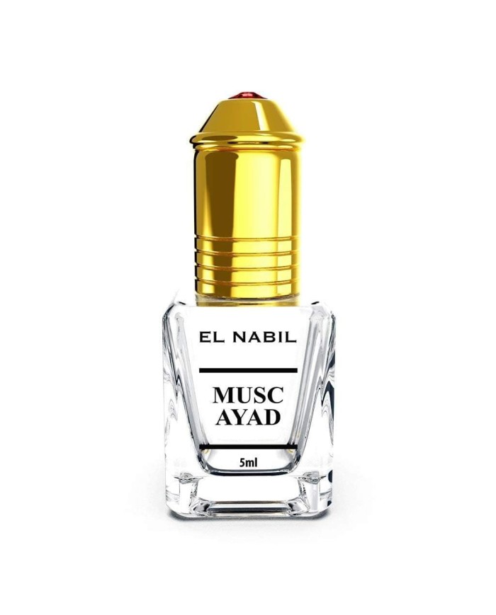 ​MUSC AYAD - MUSC EL NABIL